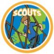 logo scouts